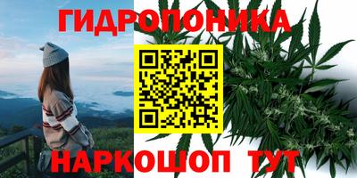 спиды Бузулук