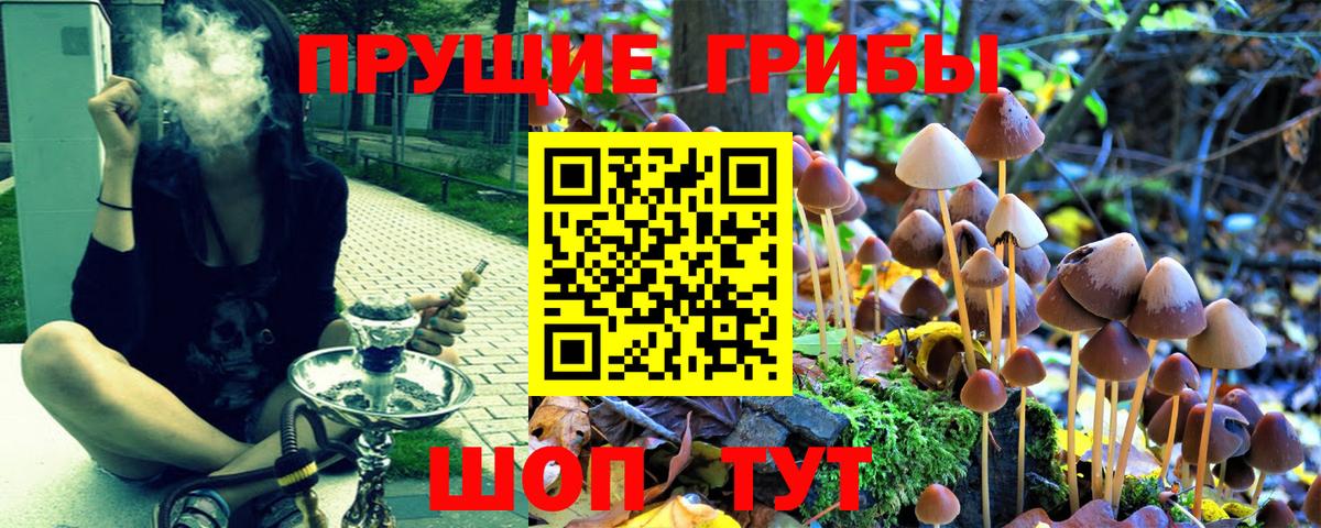 Галлюциногенные грибы GOLDEN TEACHER Магадан